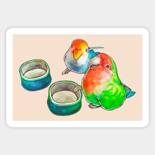 The watercolor parrots Sticker